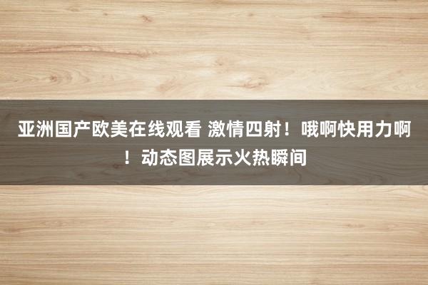 亚洲国产欧美在线观看 激情四射！哦啊快用力啊！动态图展示火热瞬间