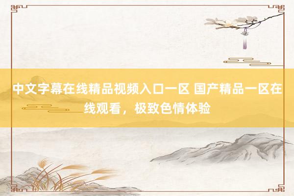 中文字幕在线精品视频入口一区 国产精品一区在线观看，极致色情体验